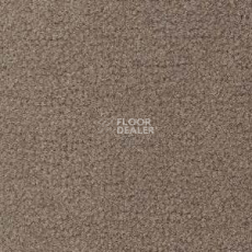 Ковролин Radici Forum Antilope 2402 фото 1 | FLOORDEALER